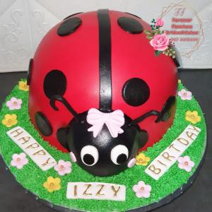 izzy-bug-cake