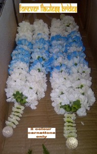 white & blue carnations              